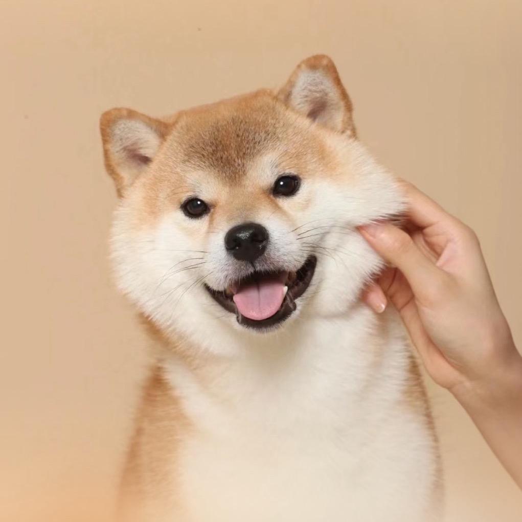 7。