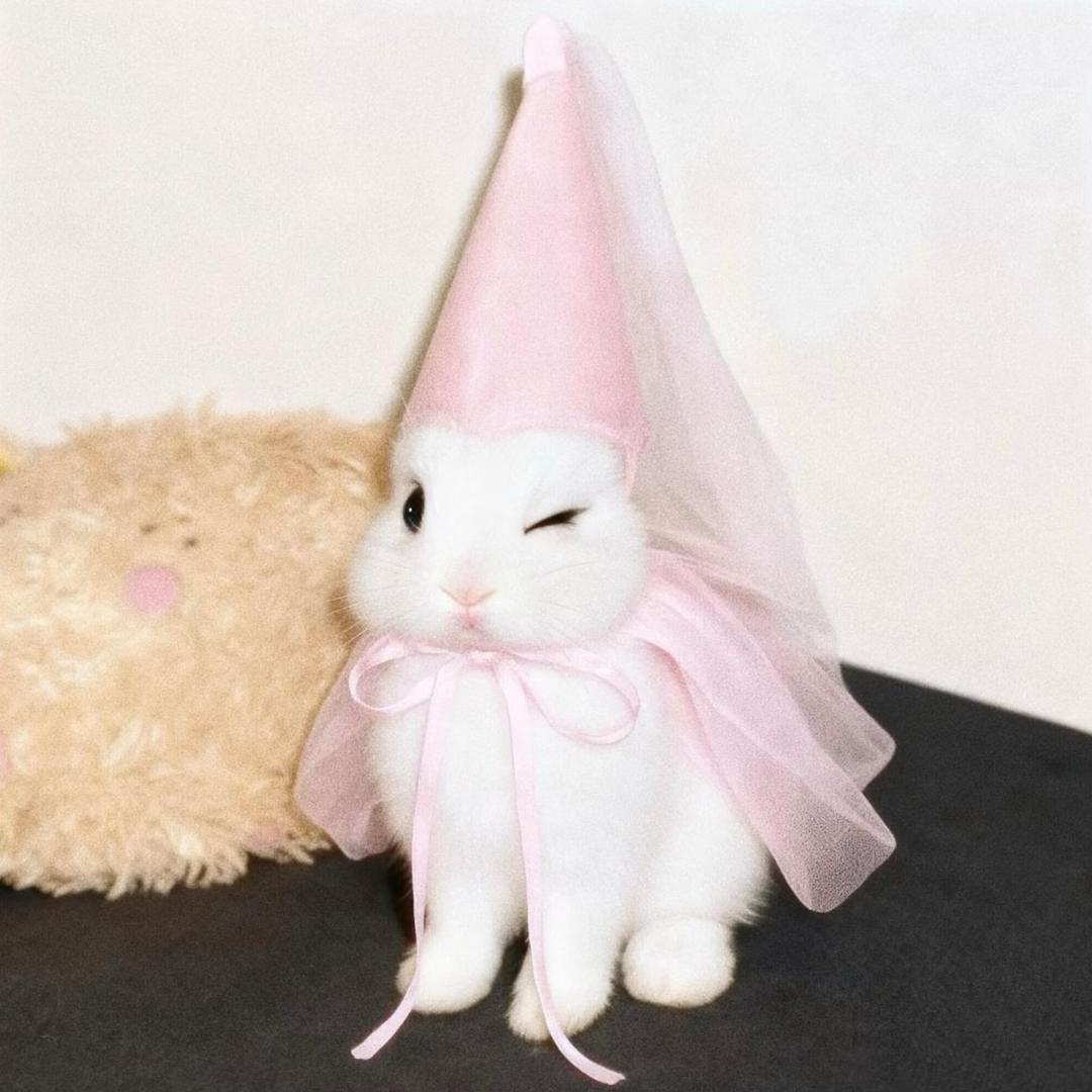 酒心巧克力🎀