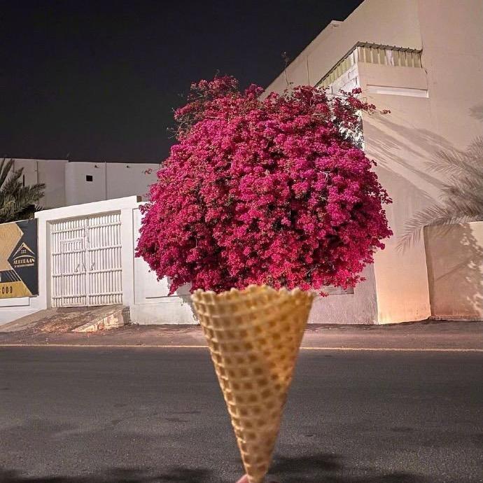 珂卡芙姐姐