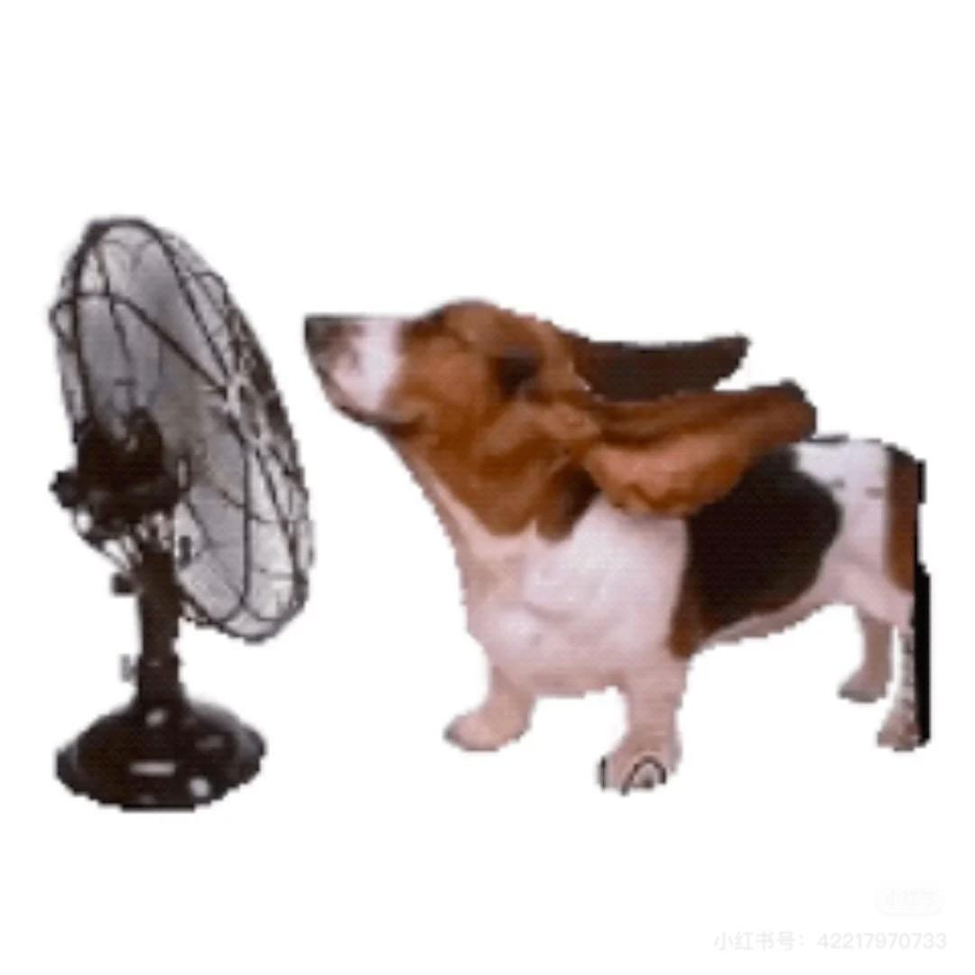 老公不上岸不改名