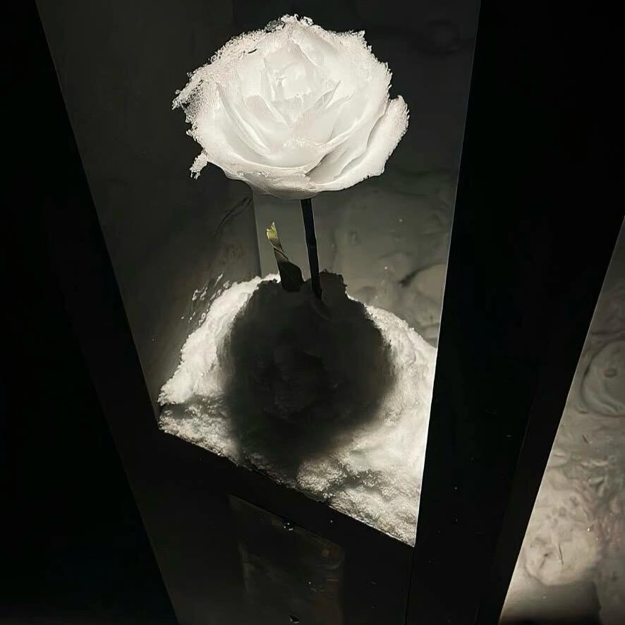 欧尚造型～发型设计小康