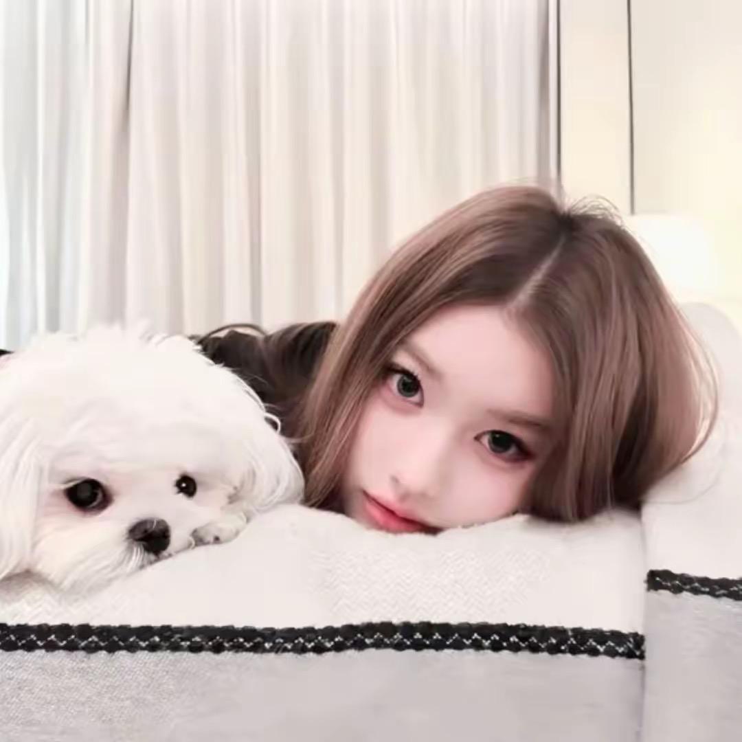 猫饼.