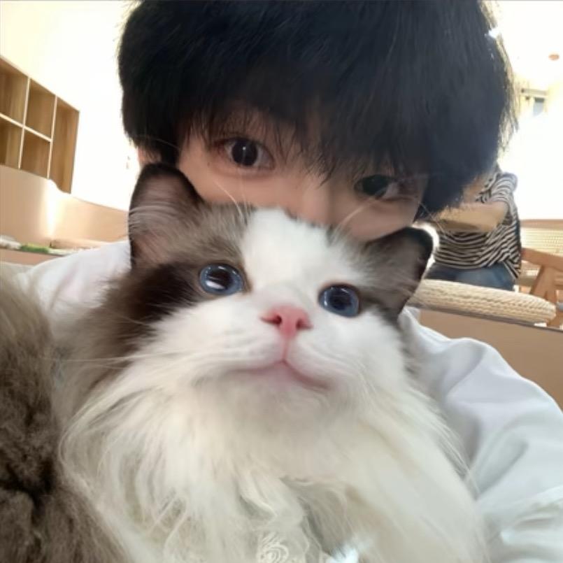 鸽子花