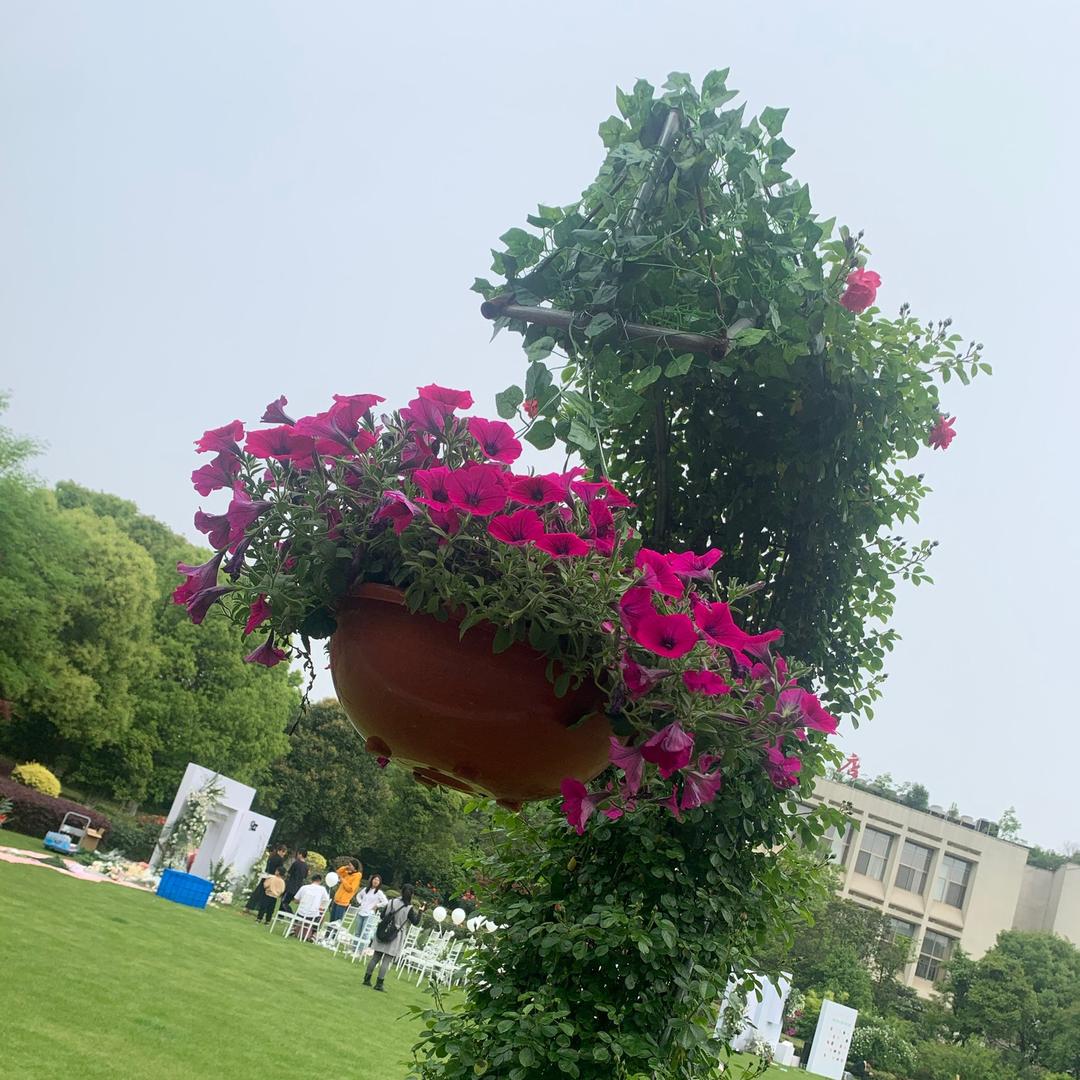 云淡风轻