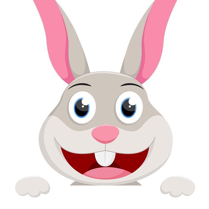 🐰用心感受生活🐰