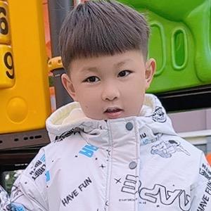 大航航