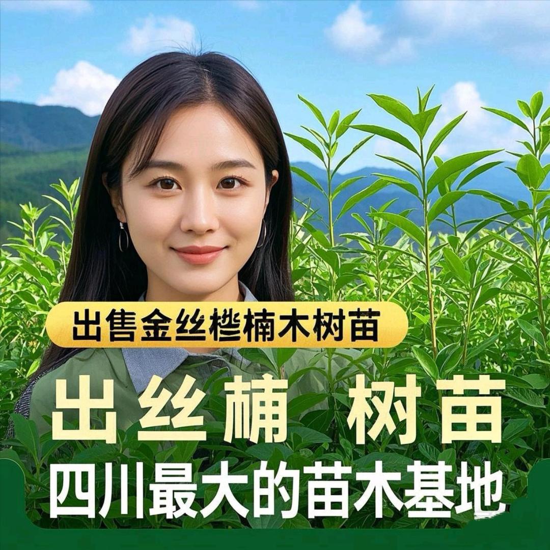 四川最大的苗木基地