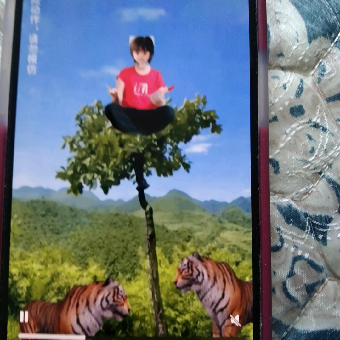 ss小鱼儿