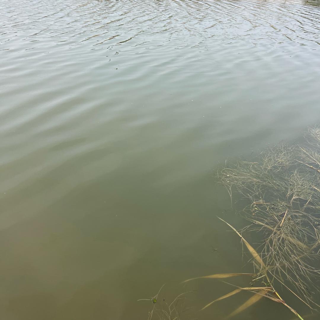 一个星期天