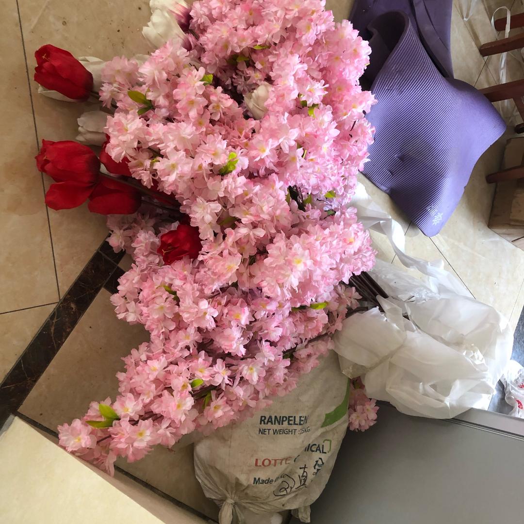 康乃馨🌹2号店
