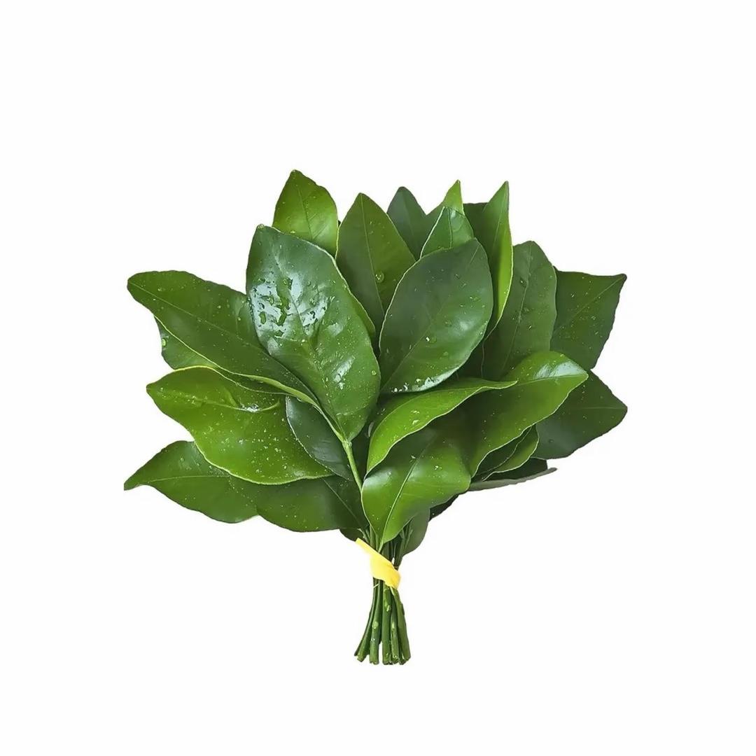 小楚