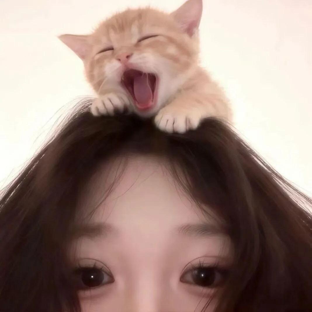 chenchen