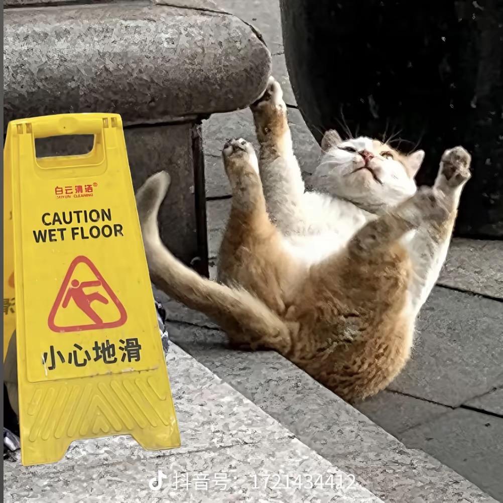 𝒮𝓮𝒶𝓈𝓸𝓃.🌷