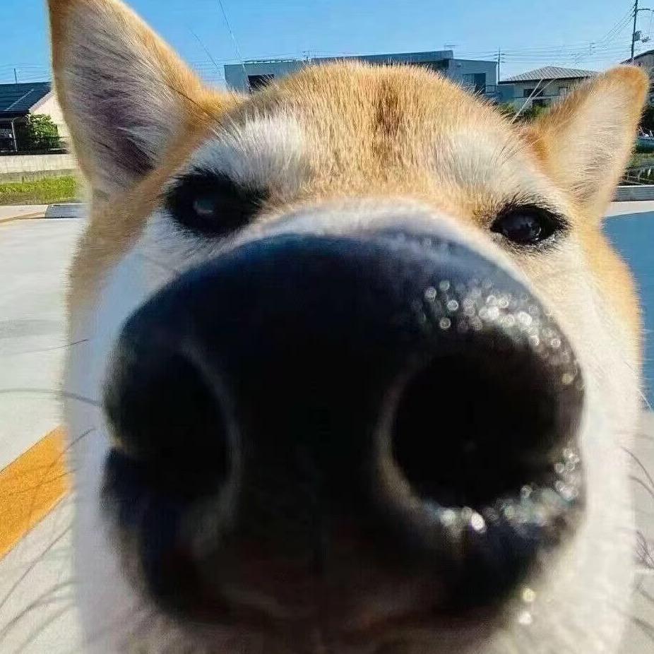 可闻魔蛋（永劫无间）