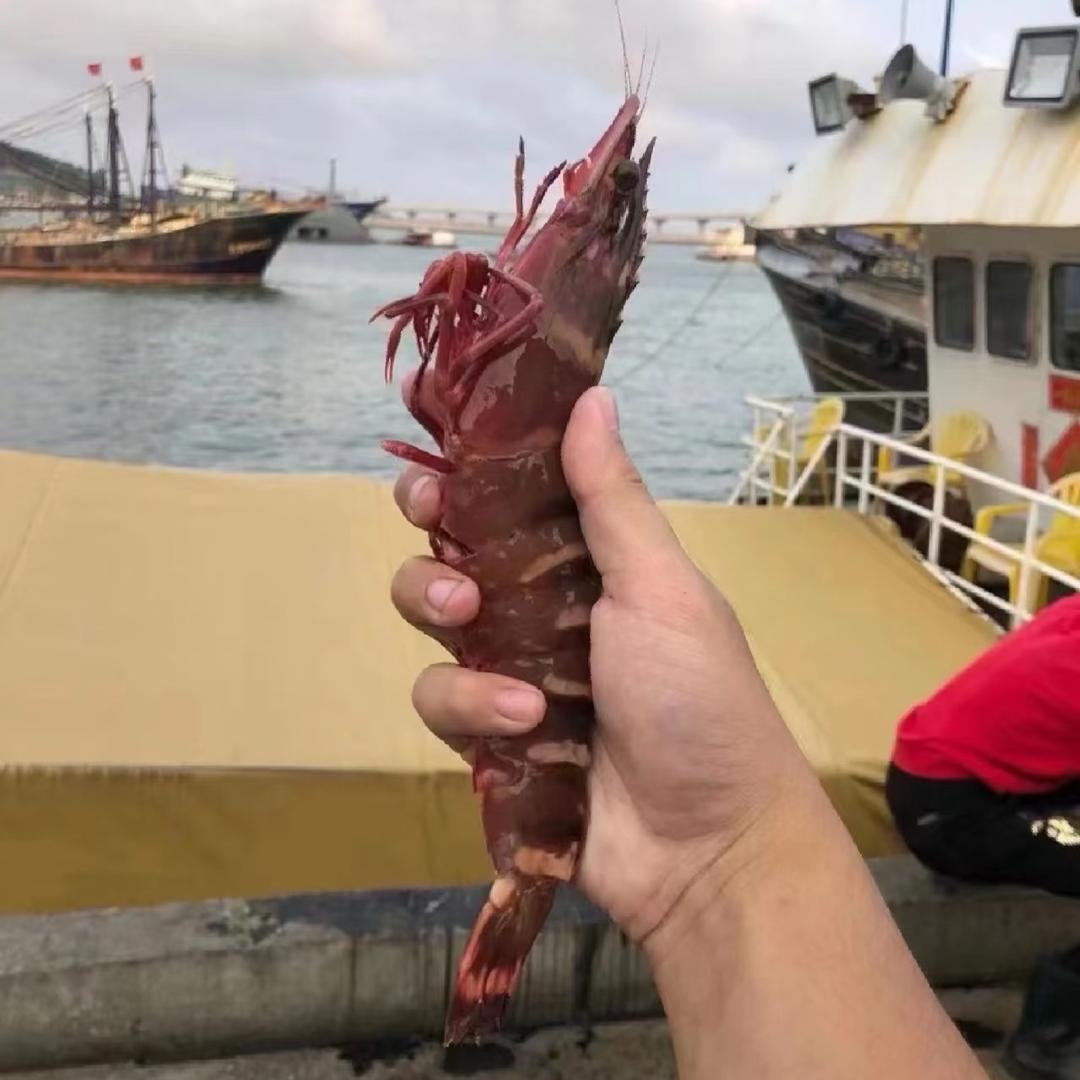 佳哥海鲜大批发