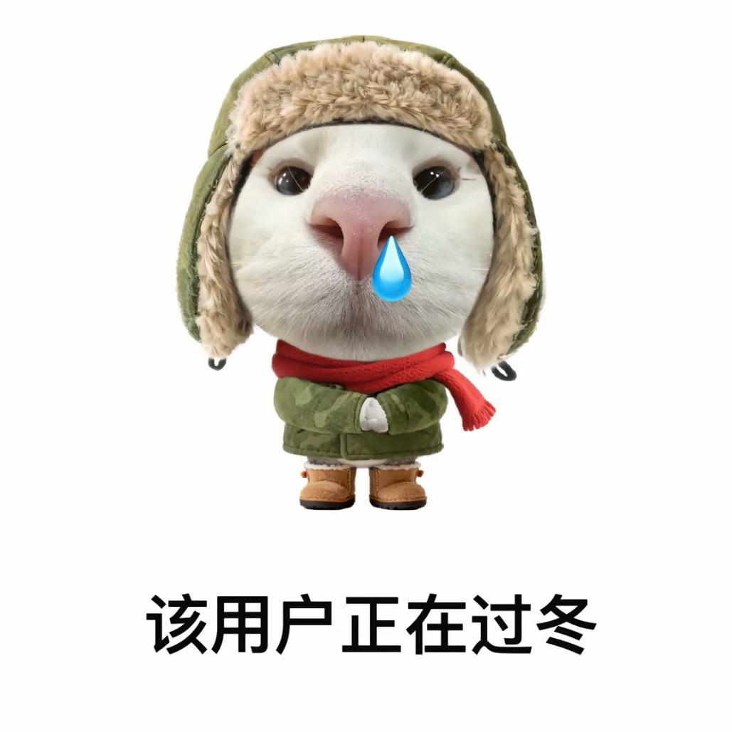 该用户正在过冬.