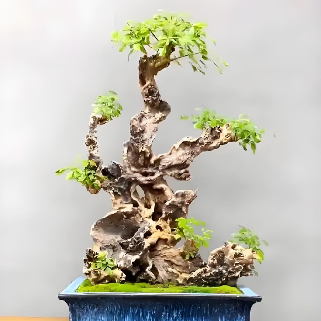 【黄荆】慕春花园艺店
