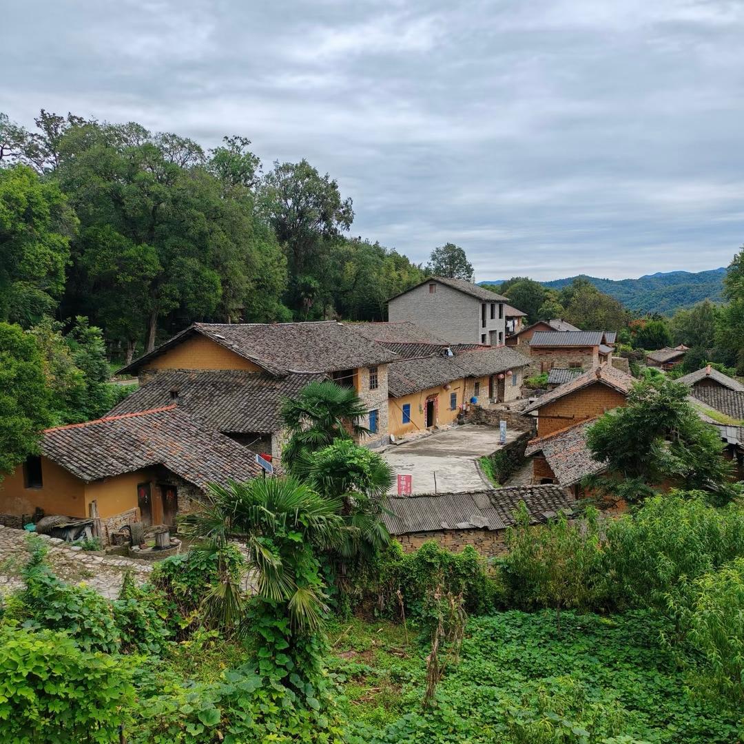 达达在山里