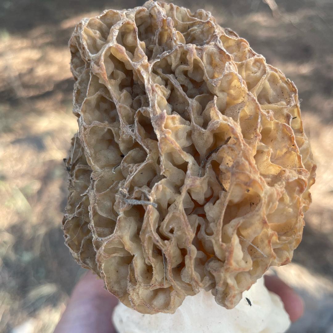 讲不出的———❤️告别