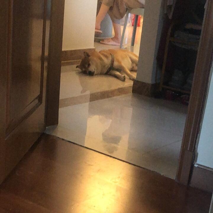 影艺
