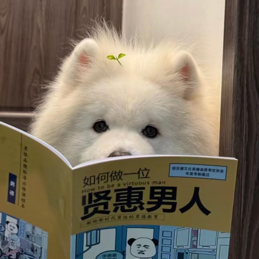 不吃香菜牛油果