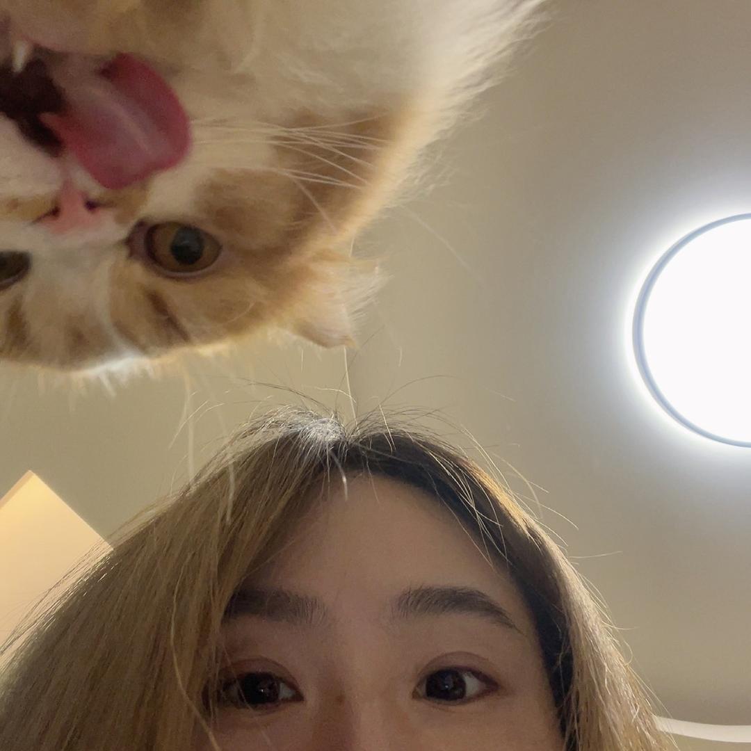 大头咕宝