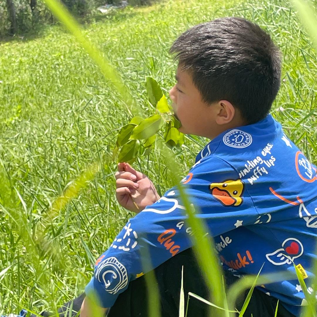 满怀希望就会所向披靡