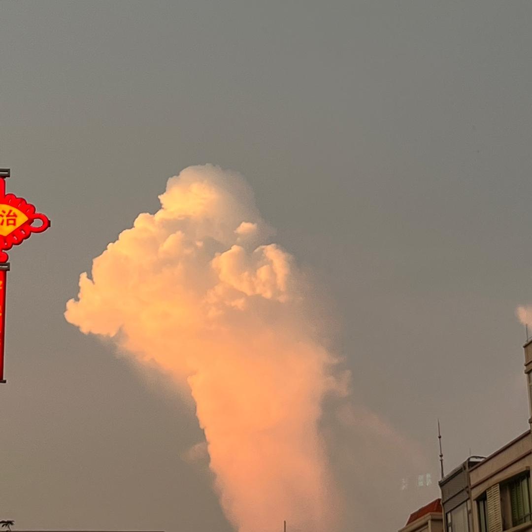 间歇性勤奋的我哎头像