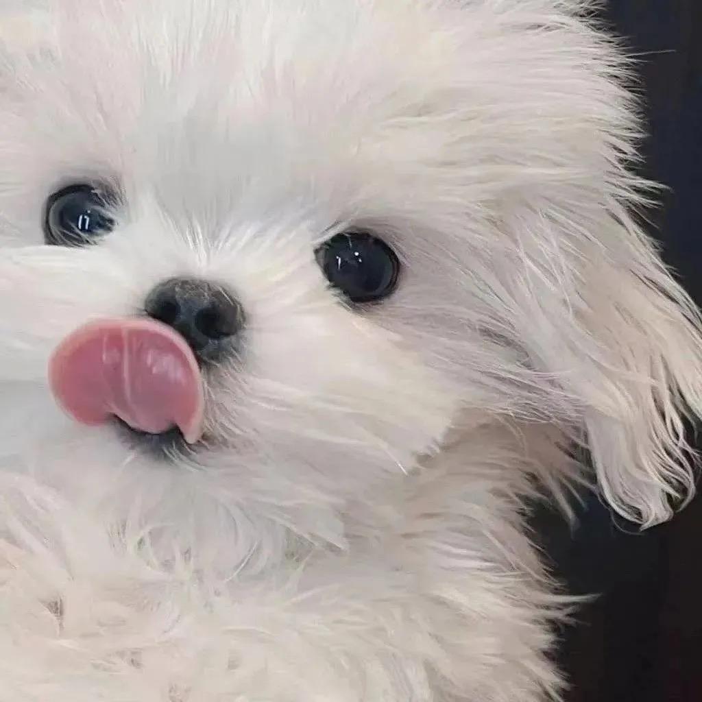 好好