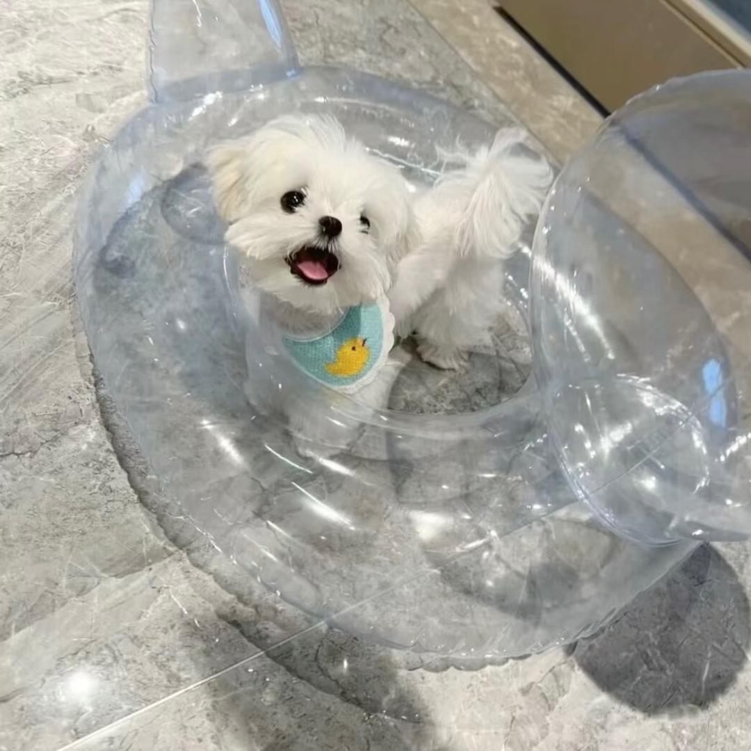 还是有点困滴💤