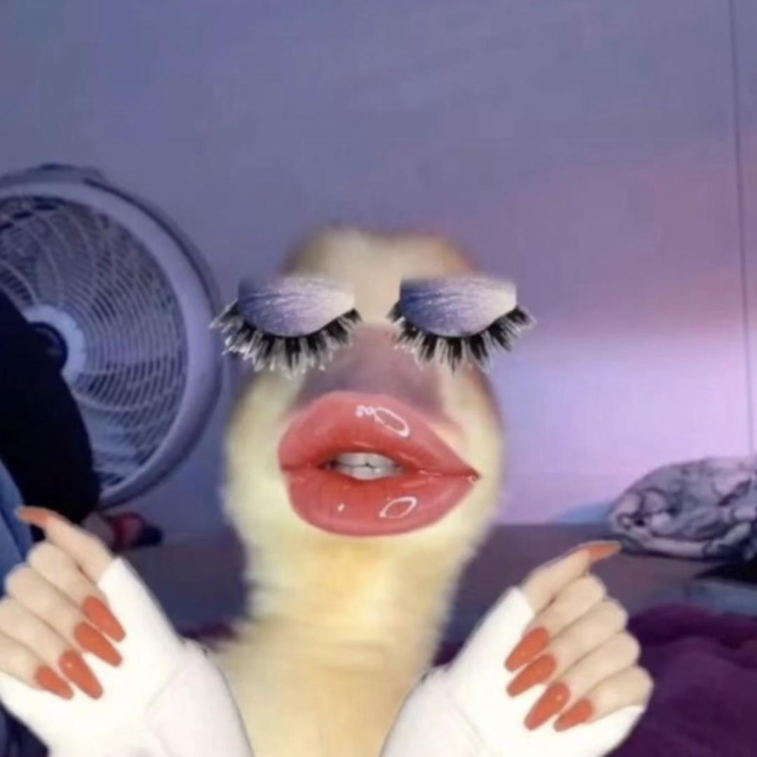 hhhhhuluuuu