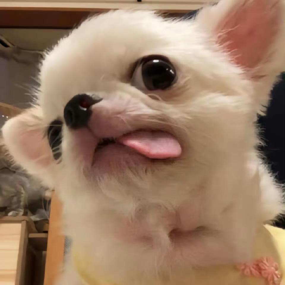 我的嘴巴一直在下雨☔️