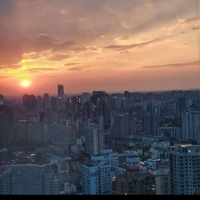 需要微笑的熊