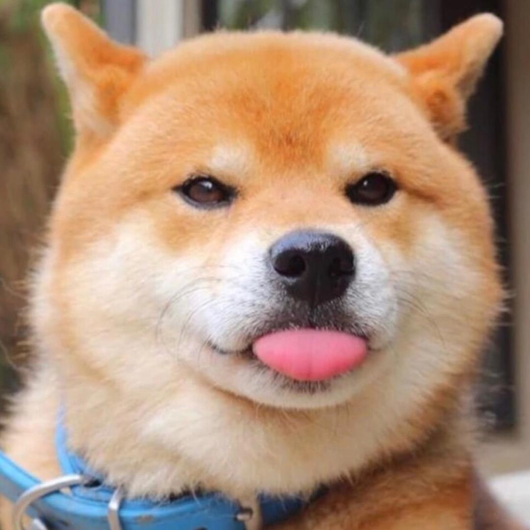 爬塔叉烧包（幻唐志）