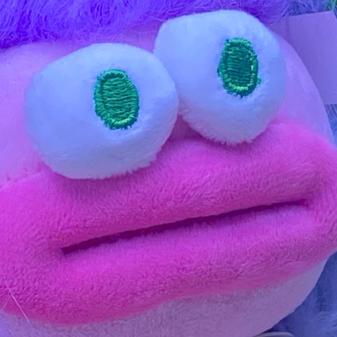 O泡