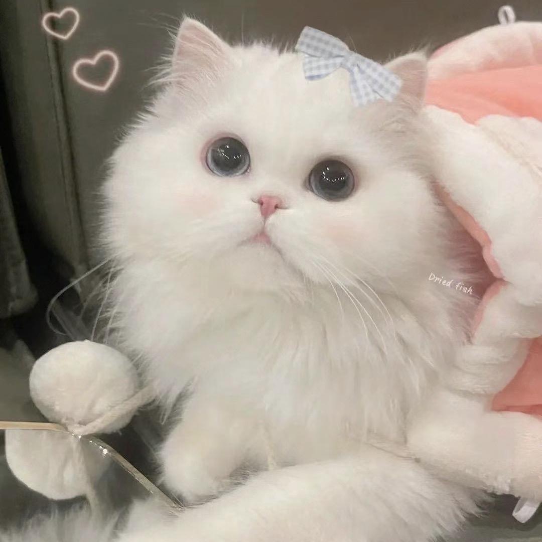 C.🥰