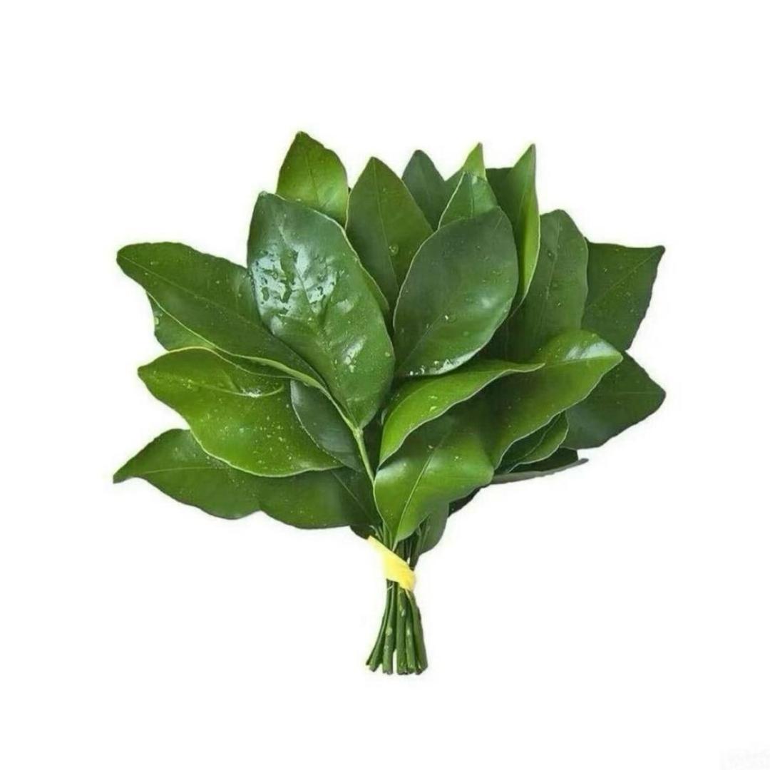 刺猬小姐