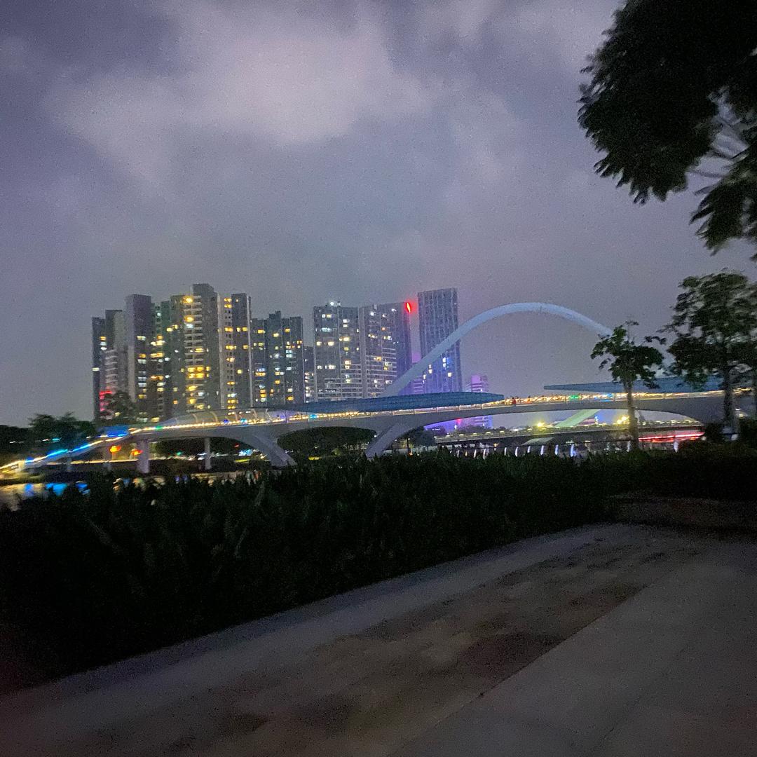 悟。。道。。