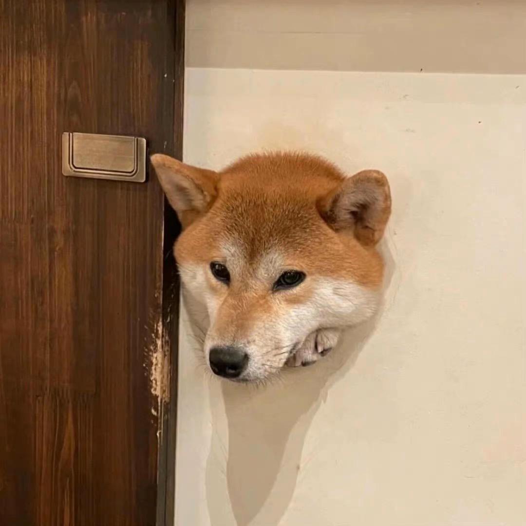 爱吃炸药