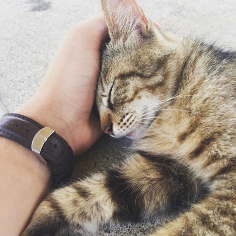 八分吃不饱☁️