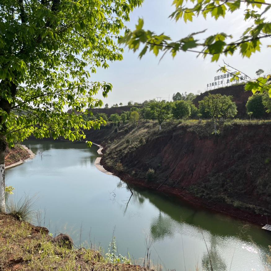 幸福小家庭⁵¹¹