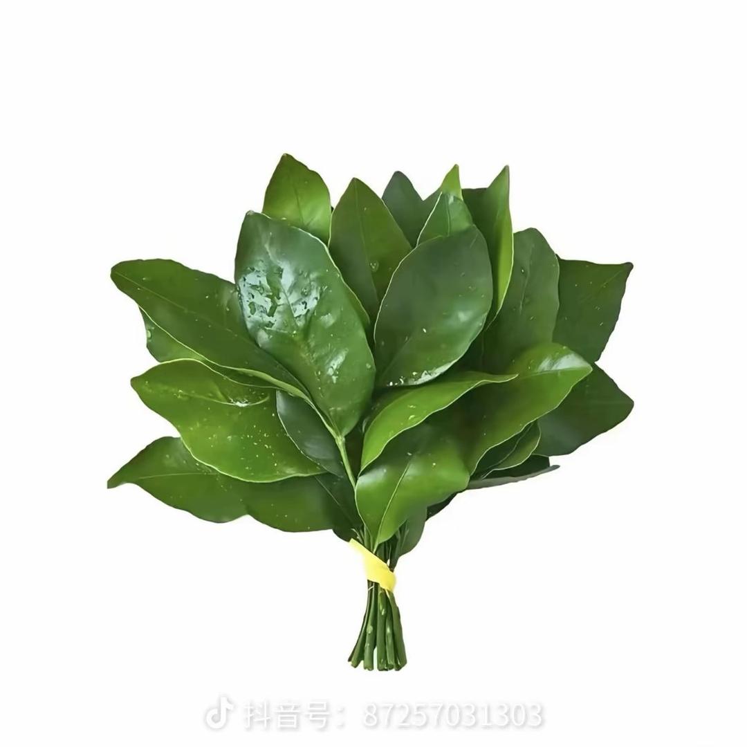 后空翻980度外加螺旋飞踢干爆啰嗦老闭登