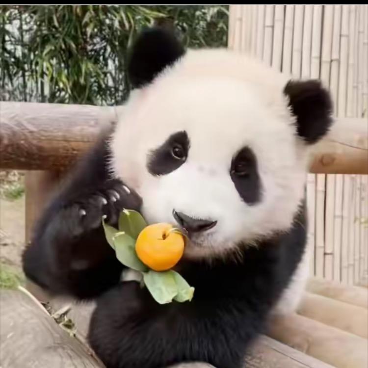 郑欣晴百货