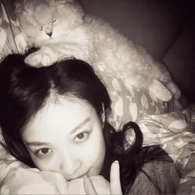 青云湖的水渠清.