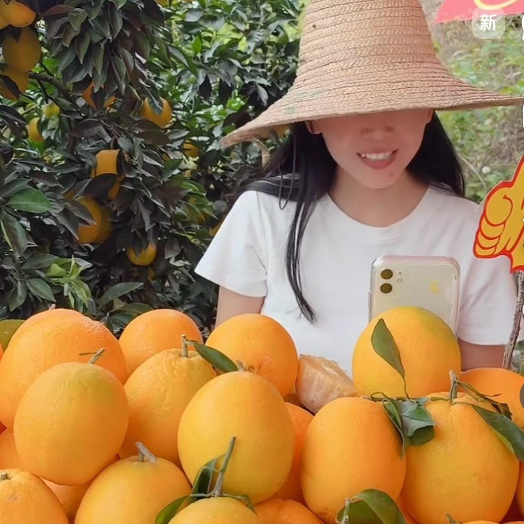 赣南脐橙小甜