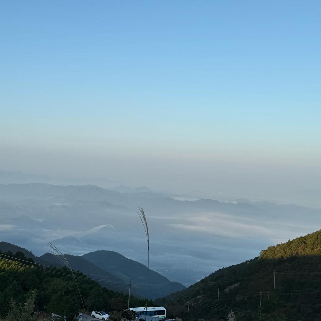 新手小白