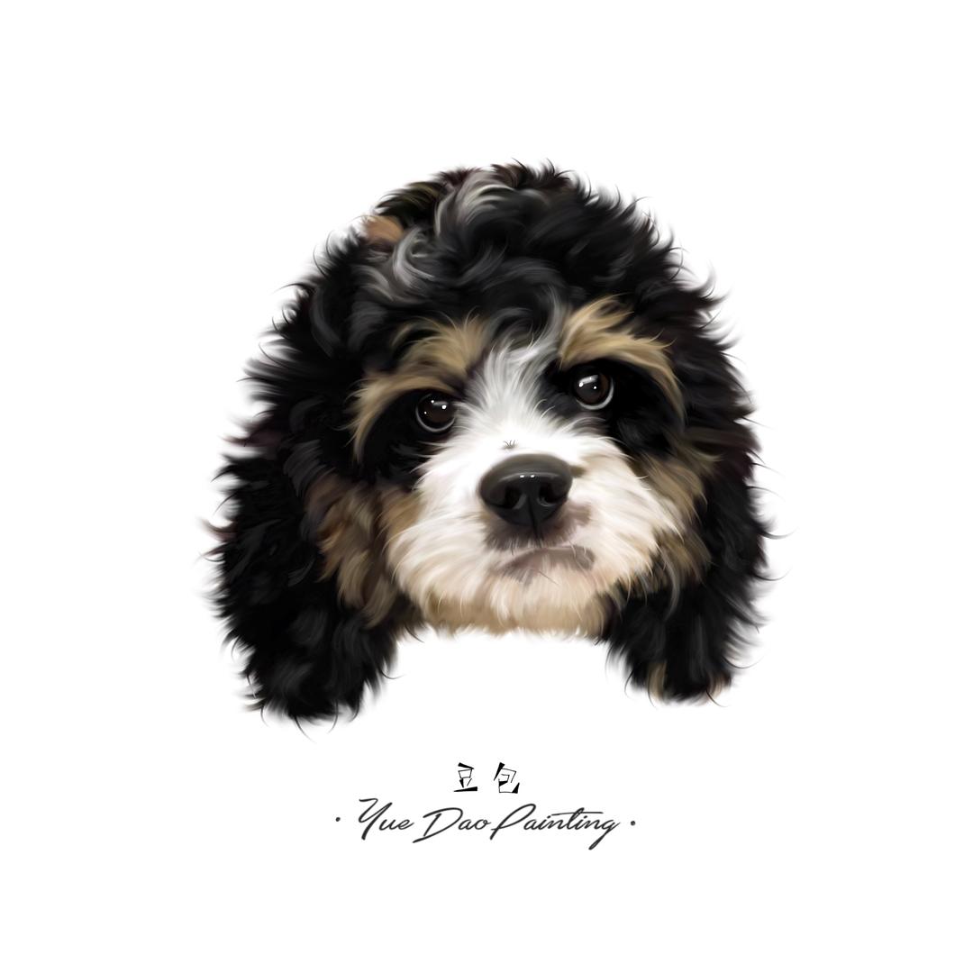 鑫悦🐶奢宠（美卡、可卡布）
