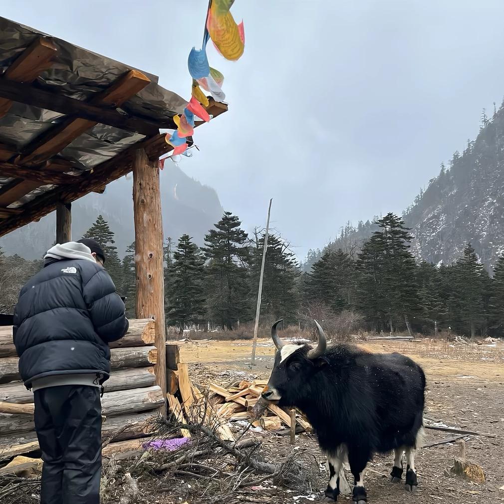 雪花（三角洲行动）