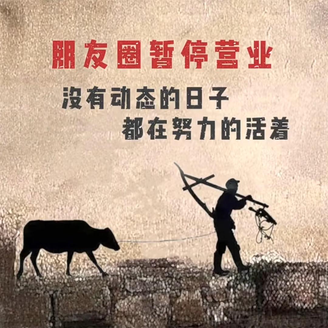 社会边角料😉