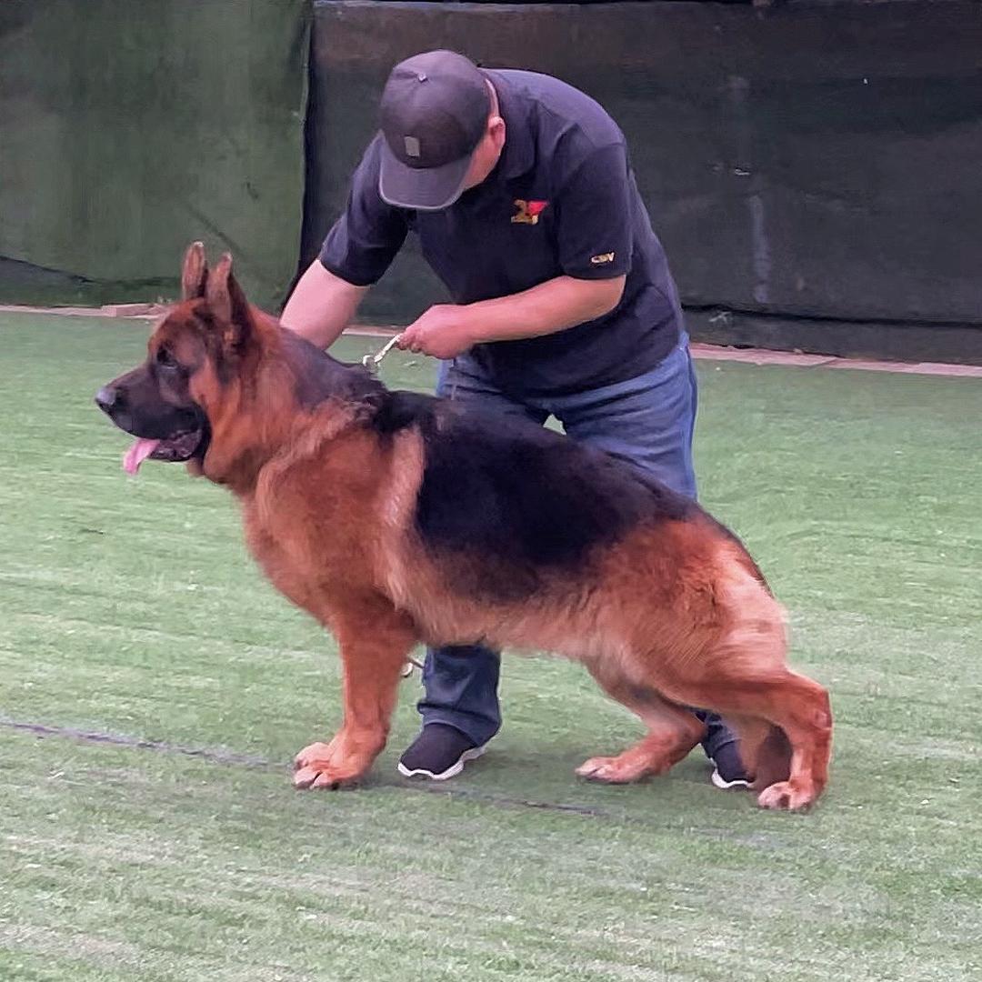 正浩犬舍